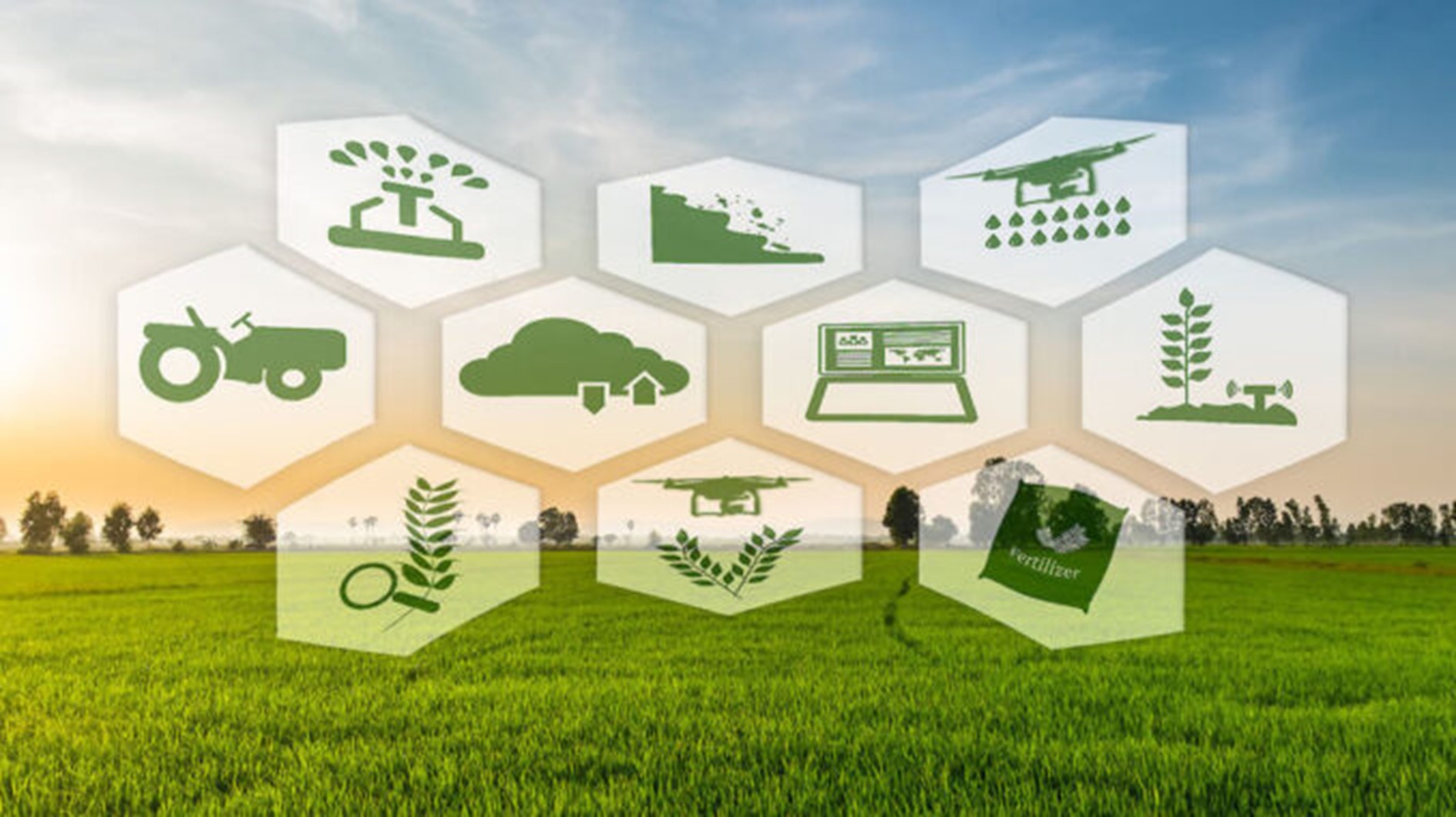 Kenya : la BAD soutient l’agro-industrie
